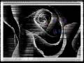Chromatics - Baby 