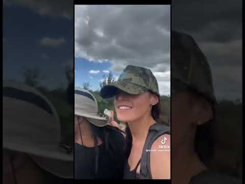 welcome to the native