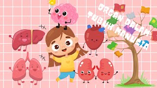 Download lagu BELAJAR MENGENAL ORGAN DALAM TUBUH | ORGAN VITAL MANUSIA | mp3
