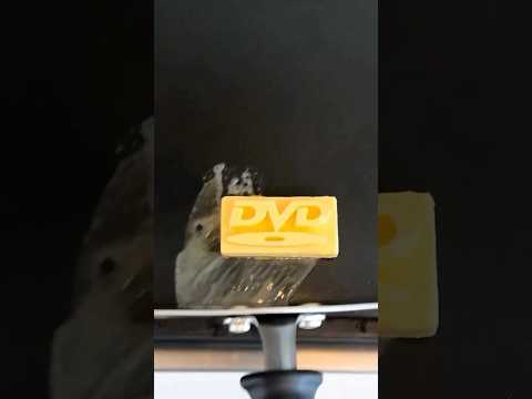 Just saw there is a DVD butter?!? Oh millennials are going to eat this UPPP! GenZ may never know.