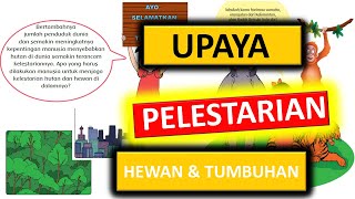 Download lagu MATERI UPAYA PELESTARIAN HEWAN DAN TUMBUHAN KELAS 6 TEMA 1 SUBTEMA 3 mp3 Download lagu MATERI UPAYA PELESTARIAN HEWAN DAN TUMBUHAN KELAS 6 TEMA 1 SUBTEMA 3 mp3