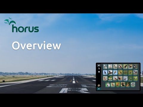 Horus