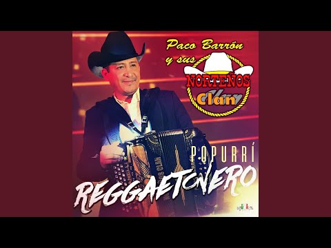 Popurrí Reggaetonero: Felices los Cuatro / Una Lady Como Tu / El Amante / Despacito / Darte un...
