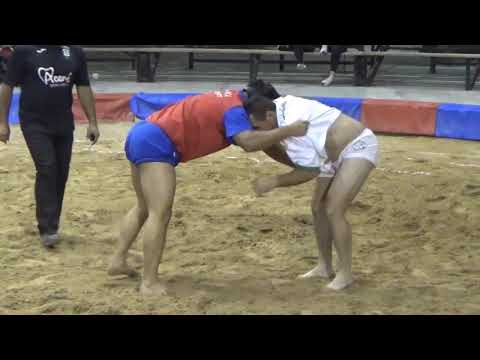 17-01-19  CL  TAMANCA LAS MANCHAS-CL  AUARITA TEDOTE-X  LIGA CABILDO INSULAR DE LA PALMA 2018-19