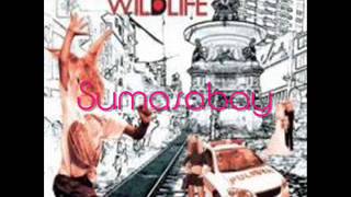 Pupil (Wildlife) - Sumasabay