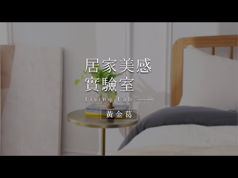 黃金葛招財