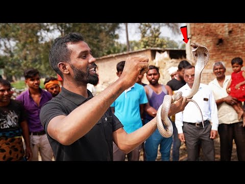 आप लोग भी देख ही लीजिए आज की किस तरह कोबरा रियल बाइट करता हैं, कोबरा ने मोहित सर को काट लिया 😳 #nag