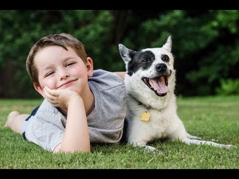 Grasscycling: How to Recycle Grass Clippings | Planet Natural