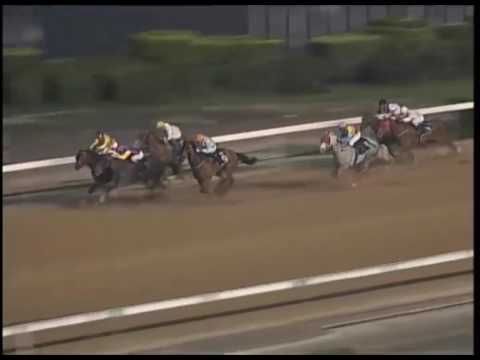 Macau Meeting Race 5(0247)