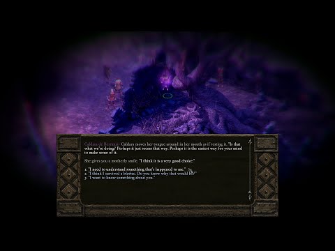 Pillars of Eternity Let's Play! - Episode 4 Wisps and Ghosts [Blind/Hard/Paladin]