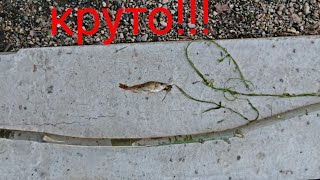 Как сделать удочку для ребенка дома