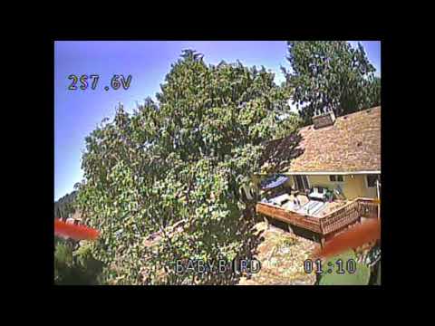 Freestyle Dreaming