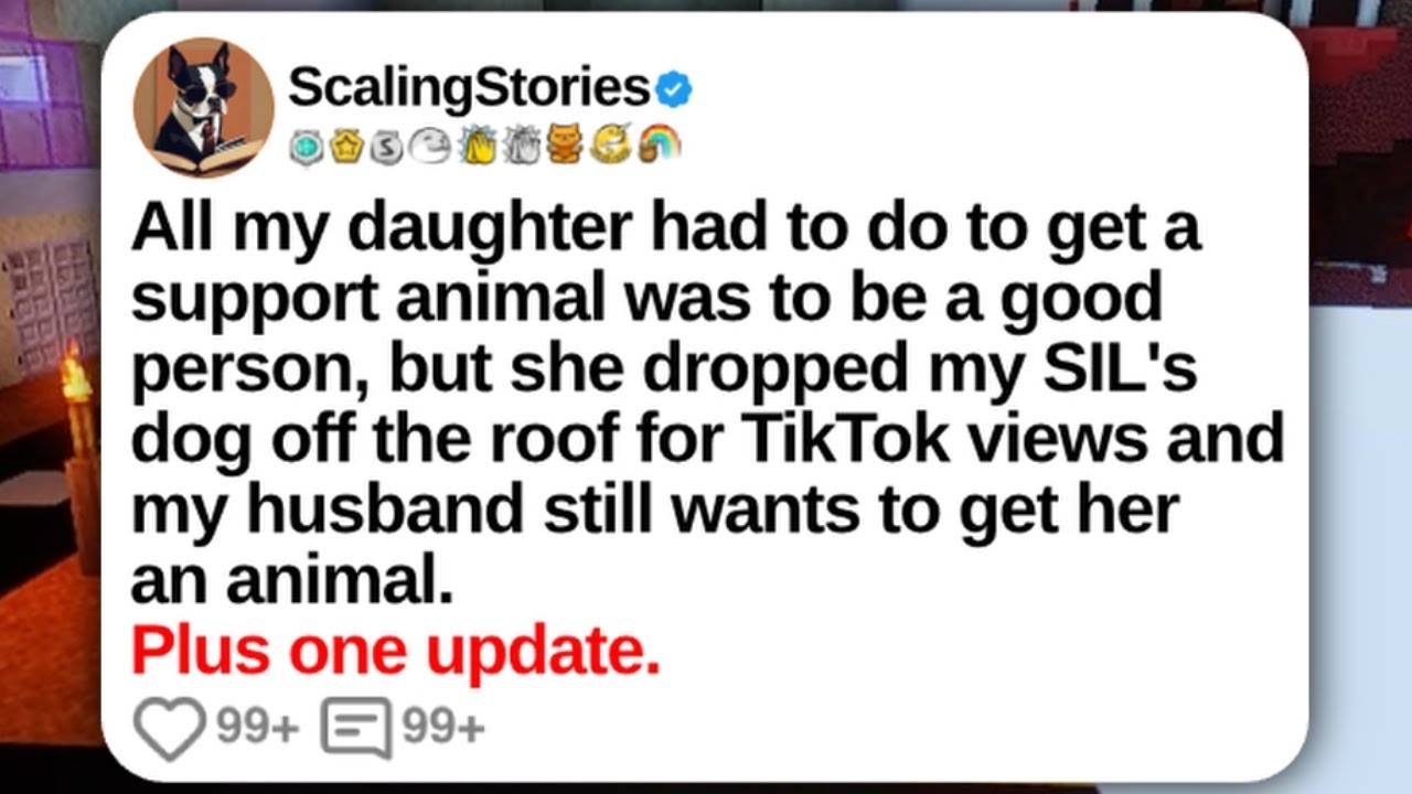 All My Daughter Had To Do To Get a Support Animal Was To Be a Good Person... | Reddit Updates