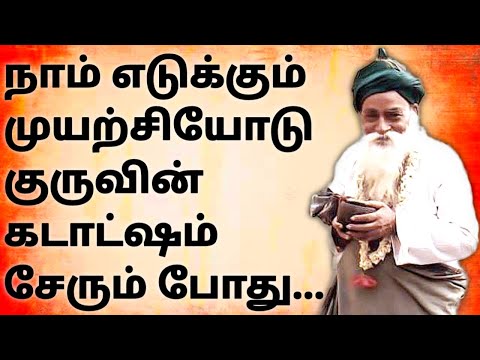 நாம் எடுக்கும் முயற்சியோடு குருவின் கடாட்ஷம் சேரும் போது... #yogiramsuratkumarmiracles