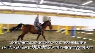 Video koně Carthano