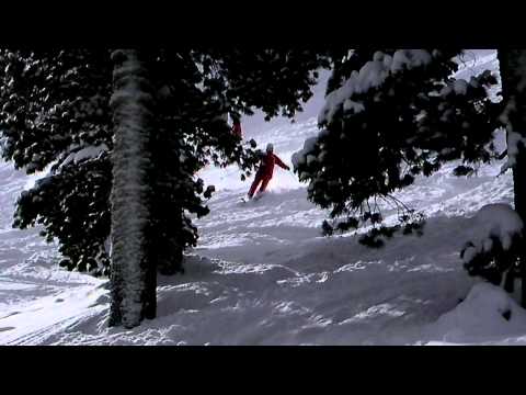 110226 SANY0118 Sasa2