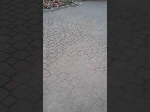 INB 42 NH GP TEAM FOURTHYTWO