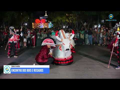 Boi é reisados em Sobral Ceara 