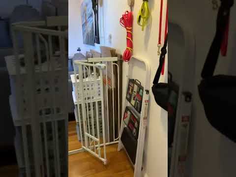video 1