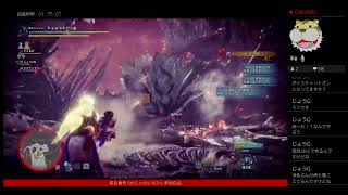MHW:IB 危険度3 珠集め、導きの地まわし。アイスボーン モンハン