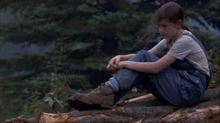 Fly Away Home (Title Theme)---Mark Isham