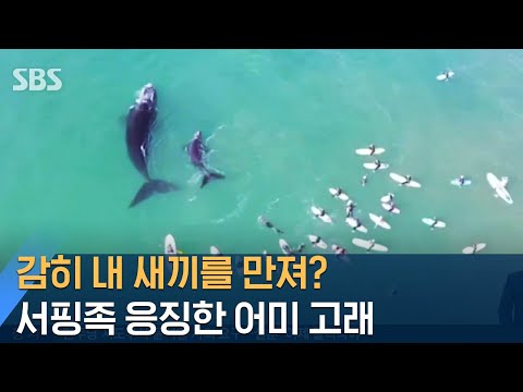 아이콘