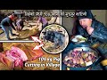 105 Kg Pig cutting and eating in the Rural village || Preparing for the Village wedding party #pork