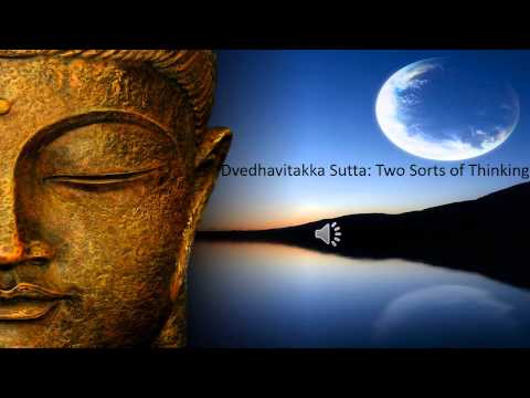 Dvedhavitakka Sutta: Two Sorts of Thinking