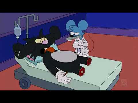 Itchy & Scratchy - DR.MOUSE (Dr. House Parody)