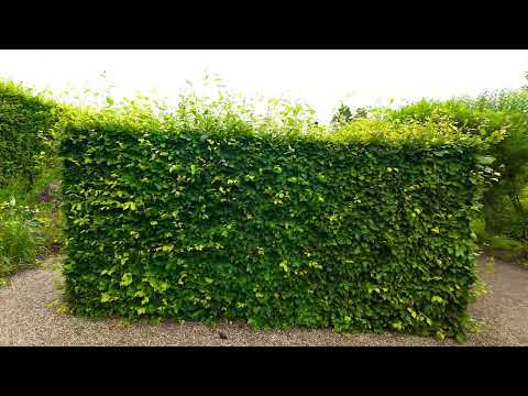 Sledmere Country House und ummauerter Garten.