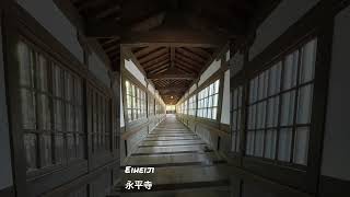 Eiheiji 永平寺　One of the most beautiful temples I’ve ever been in my life. #travel #japan #yumestory