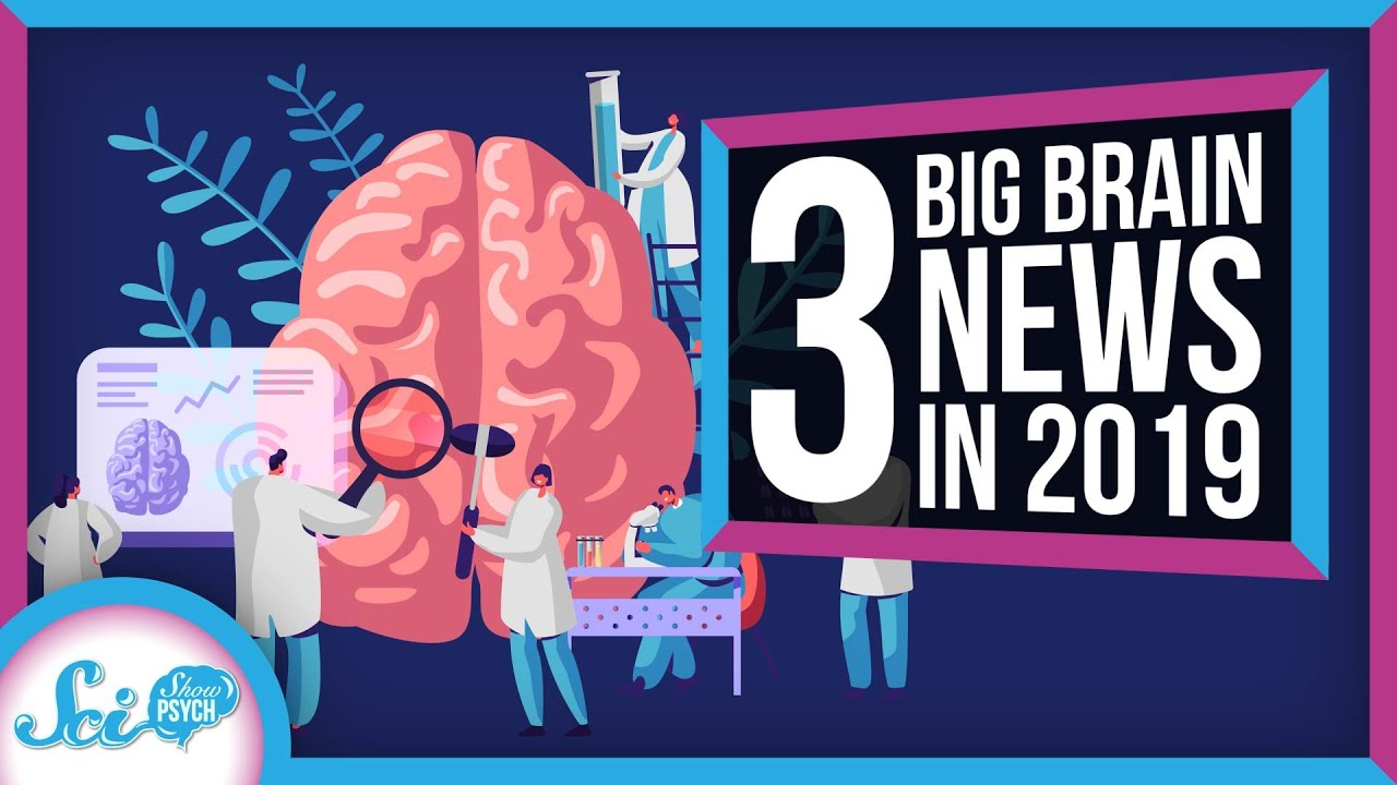 3 Big Things We Learned About the Brain in 2019