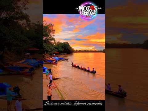 La Macarena meta🦜🐢🌳 #carranga #viral #bailables #popular #colombia #baile  #moments #viralvideos