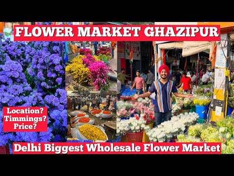 Flower Market Delhi | Ghazipur Flower Market Delhi | Flower Market Ghazipur Mandi Wholesale Market
