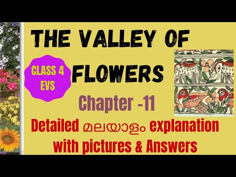 Class 4 EVS ch-11 /Valley of flowers/Malayalam lesson explanation with pictures & solutions