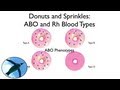Blood Types: ABO and Rh (with donuts and ...