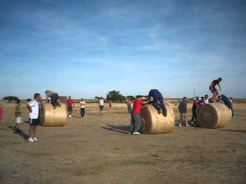 AGROLIMPIADAS - ALPACAS REDONDAS - COLLADO DE CONTRERAS