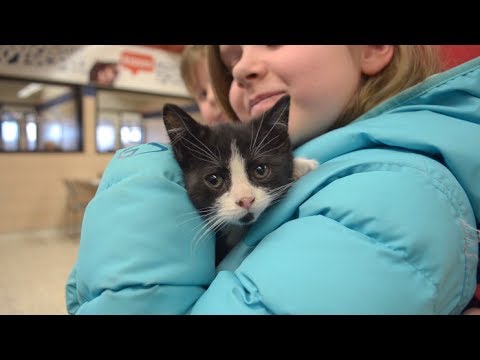 Did You Know? Celebrating each adoption