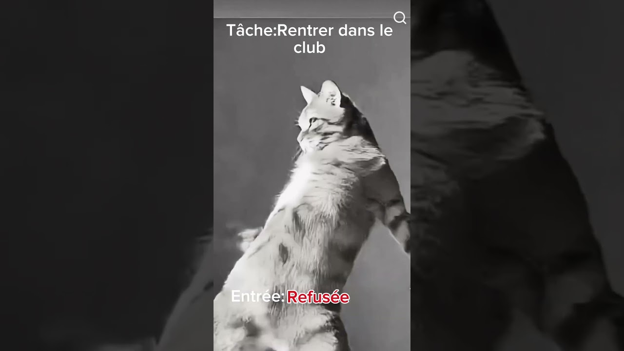 Tache:Rentrer dans le club