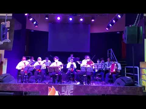 Polca "Puno mi terruño" de Cástor Vera Solano