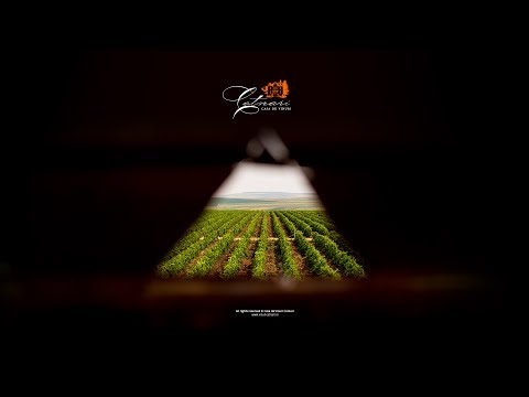 Casa de Vinuri Cotnari - Dinner in the sky