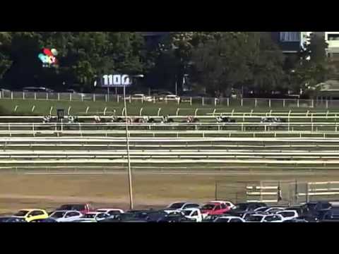 Watch Complacent (Authorized) win the G1 Spring Champion Stakes at Randwick, Australia, 2013