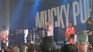 wff&#39;09 mucky pup - little pigs