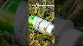 Ashwagandha ᐉ Адаптоген