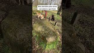 12 de dezembro de 2025