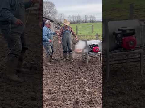 #piggy #aivideo #ai #farming #funny #technology #food