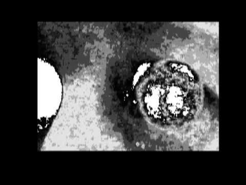 Thumbnail for "If I Had My Way" by Nymbus     FULL MUSIC VIDEO by The Band