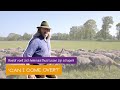 Can I Come Over - Roelof voelt zich het meeste thuis tussen zijn schapen