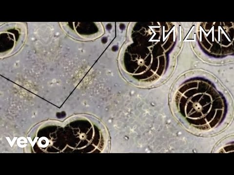 Video thumbnail for Dreaming of Andromeda