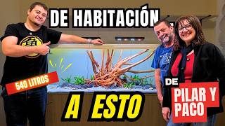 De cama de Looney Tunes a 540 litros para Discos Salvajes | El proyecto de Paco y Pilar